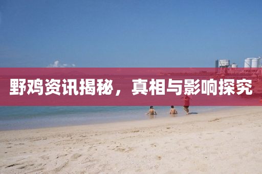 野雞資訊揭秘，真相與影響探究