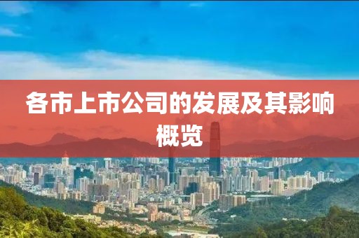 各市上市公司的發(fā)展及其影響概覽