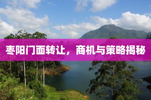 棗陽門面轉讓，商機與策略揭秘