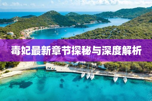 毒妃最新章節(jié)探秘與深度解析