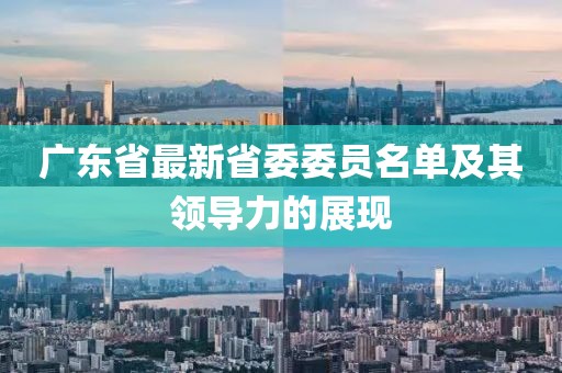 廣東省最新省委委員名單及其領(lǐng)導(dǎo)力的展現(xiàn)