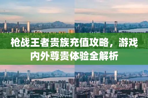 槍戰(zhàn)王者貴族充值攻略，游戲內(nèi)外尊貴體驗(yàn)全解析