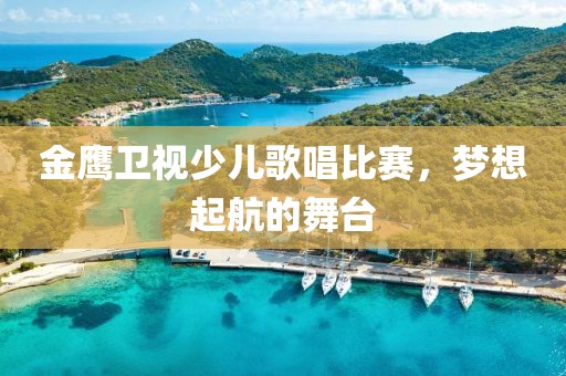 金鷹衛(wèi)視少兒歌唱比賽，夢想起航的舞臺