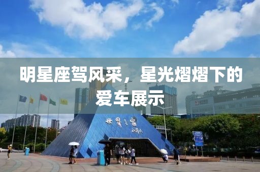 明星座駕風(fēng)采，星光熠熠下的愛車展示