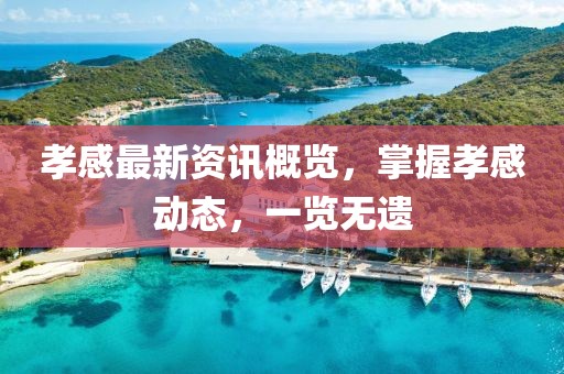 孝感最新資訊概覽，掌握孝感動(dòng)態(tài)，一覽無(wú)遺