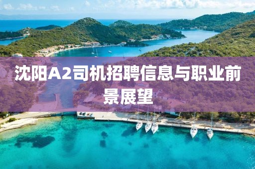 大橙先生 第10頁