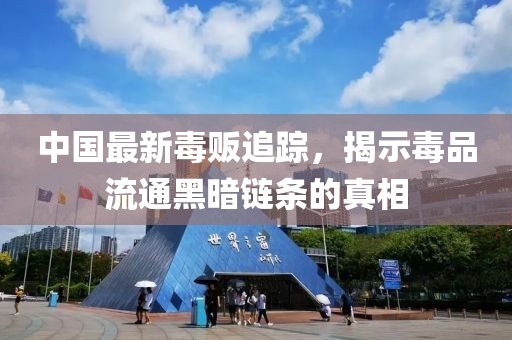 中國最新毒販追蹤，揭示毒品流通黑暗鏈條的真相