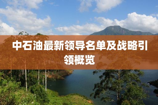 中石油最新領(lǐng)導(dǎo)名單及戰(zhàn)略引領(lǐng)概覽