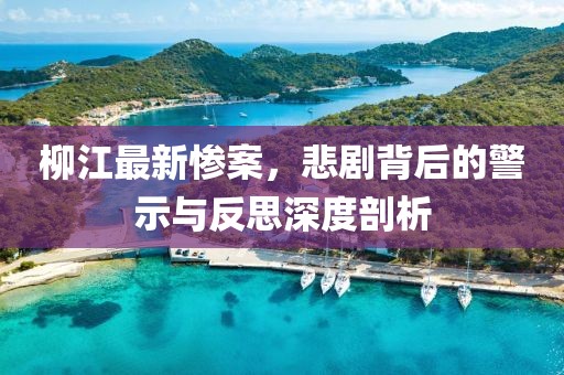柳江最新慘案，悲劇背后的警示與反思深度剖析