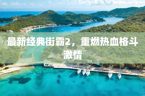最新經(jīng)典街霸2，重燃熱血格斗激情