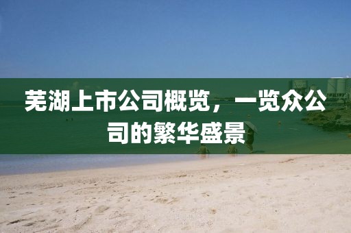 蕪湖上市公司概覽，一覽眾公司的繁華盛景