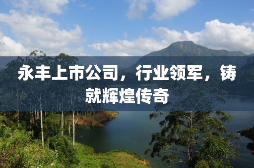 永豐上市公司，行業(yè)領(lǐng)軍，鑄就輝煌傳奇