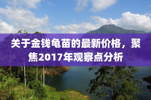 關于金錢龜苗的最新價格，聚焦2017年觀察點分析