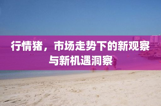 行情豬，市場(chǎng)走勢(shì)下的新觀察與新機(jī)遇洞察