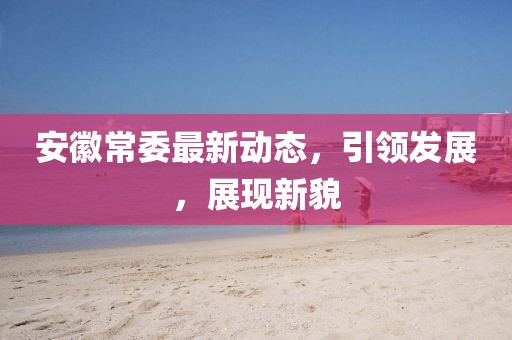 安徽常委最新動(dòng)態(tài)，引領(lǐng)發(fā)展，展現(xiàn)新貌