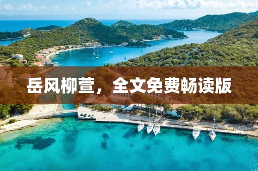 岳風柳萱，全文免費暢讀版