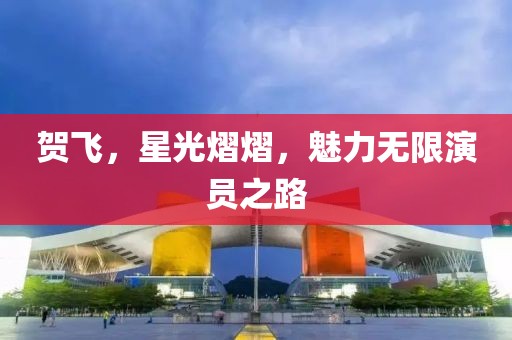 賀飛，星光熠熠，魅力無限演員之路
