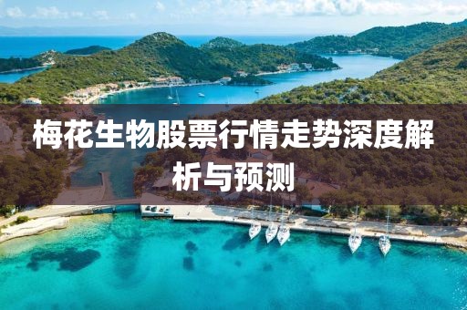 梅花生物股票行情走勢深度解析與預測