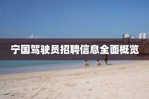 寧國駕駛員招聘信息全面概覽