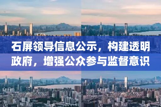 石屏領(lǐng)導(dǎo)信息公示，構(gòu)建透明政府，增強(qiáng)公眾參與監(jiān)督意識