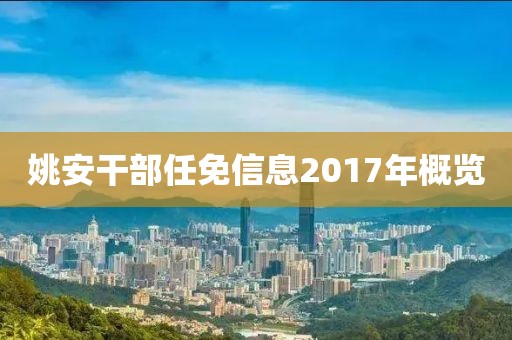 姚安干部任免信息2017年概覽