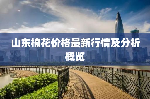 山東棉花價格最新行情及分析概覽