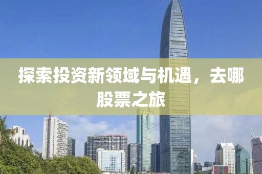探索投資新領(lǐng)域與機(jī)遇，去哪股票之旅