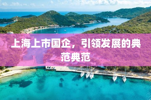 上海上市國企，引領(lǐng)發(fā)展的典范典范