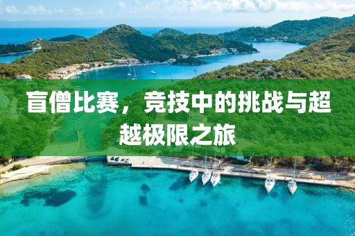 盲僧比賽，競(jìng)技中的挑戰(zhàn)與超越極限之旅