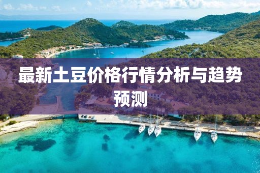 最新土豆價格行情分析與趨勢預測