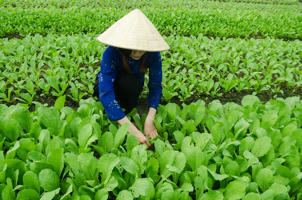 中礦資源最新消息綜述，全面解讀最新動態(tài)與發(fā)展趨勢