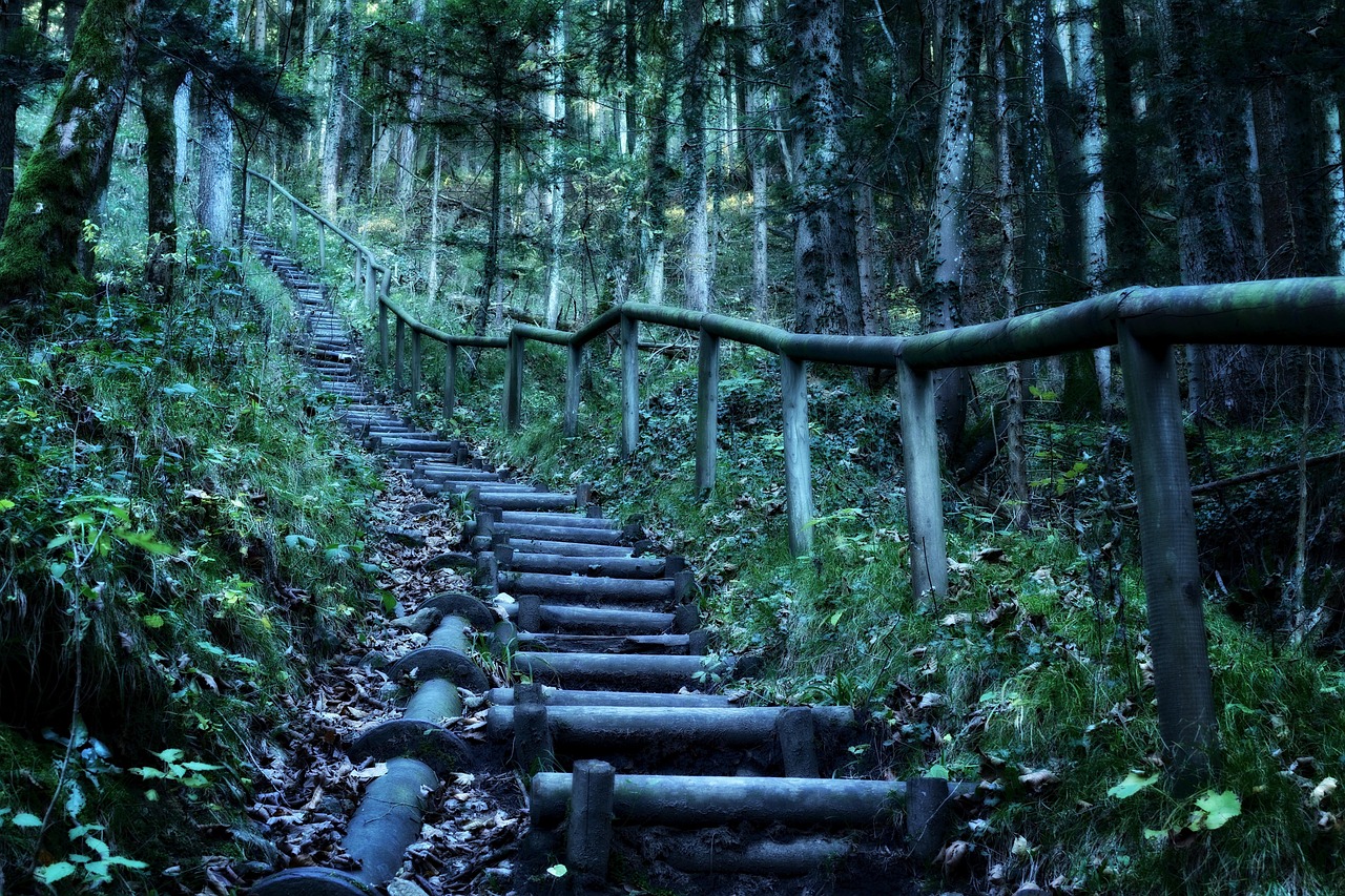 重溫經(jīng)典熊出沒，森林冒險之旅電影下載